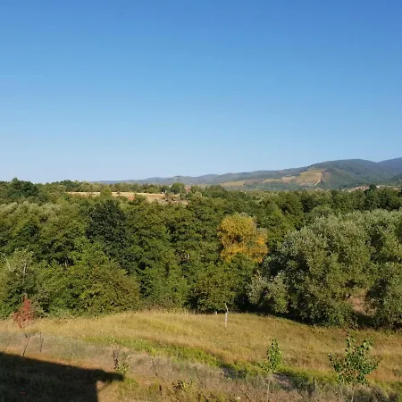 Resort Complex Transalpina Aninisu din Vale