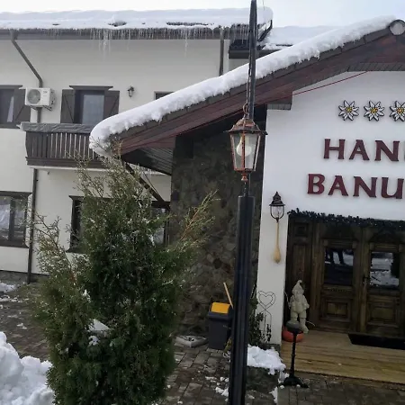 Complex Transalpina Resort Aninisu din Vale