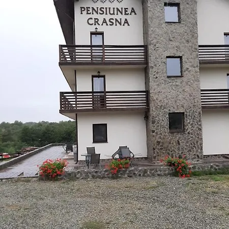 Resort Complex Transalpina Aninisu din Vale